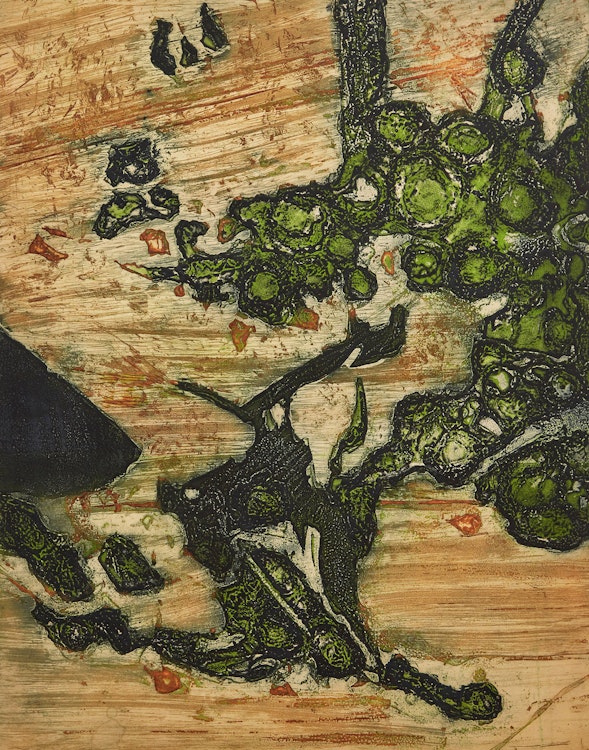 Artwork by Edward John Bartram, Lichen, Deer Island (Canadian Shield Series)