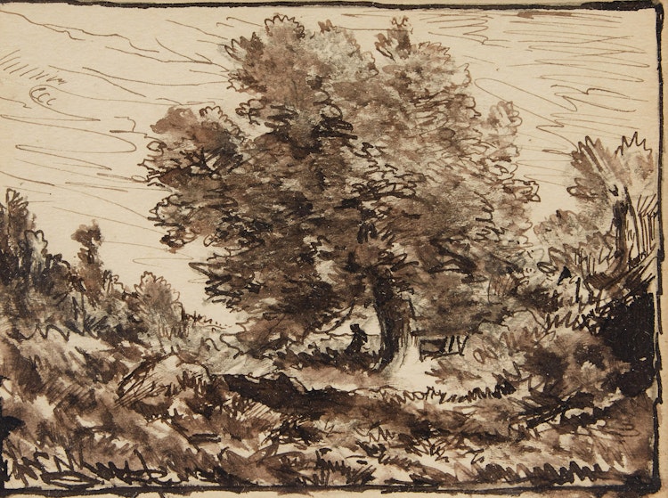 Artwork by Homer Ransford Watson, Tree in the Landscape; After Storm - Crippled, Gulf St. Lawrence
