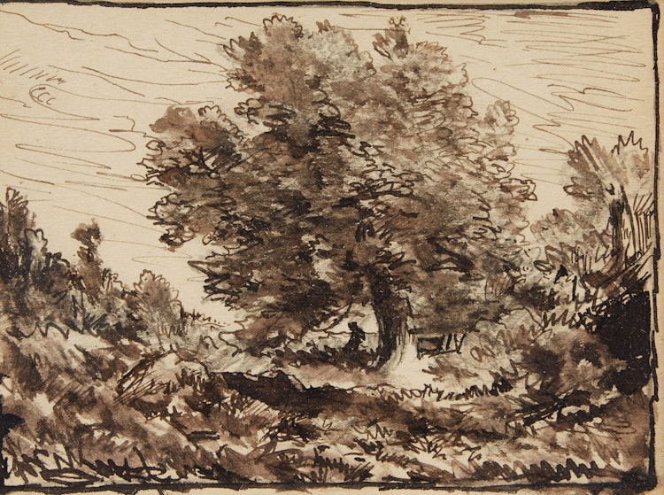 Artwork by Homer Ransford Watson,  Tree in the Landscape;  After Storm - Crippled, Gulf St. Lawrence