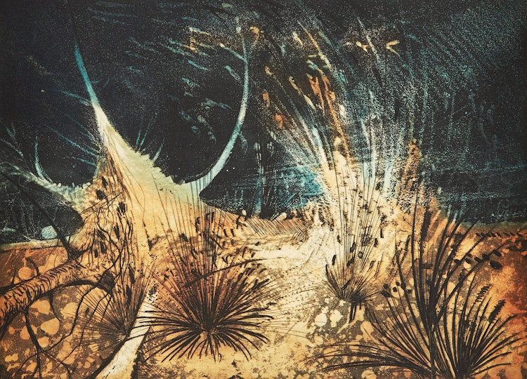 Artwork by David Lloyd Blackwood, Beach Object