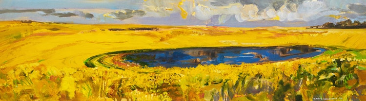 Artwork by David T. Alexander, Colour, Colour and More Yellow