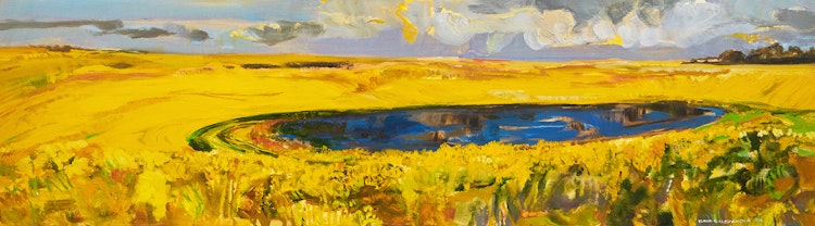 Artwork by David T. Alexander,  Colour, Colour and More Yellow