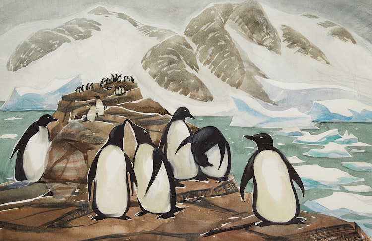 Artwork by Doris Jean McCarthy,  Adélie Penguins in the Antarctic