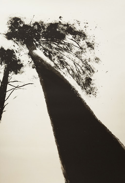 Artwork by Attila Richard Lukacs, Arbor