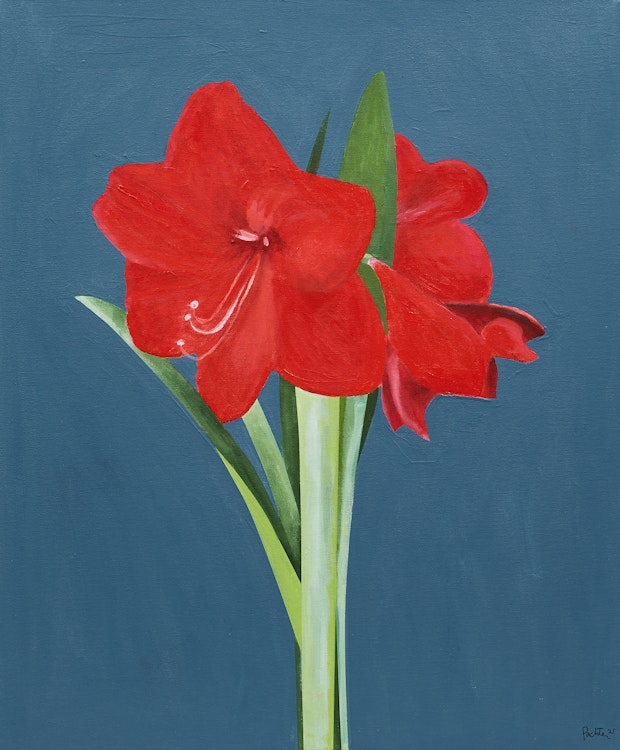 Artwork by Charles Pachter, Red Amaryllises