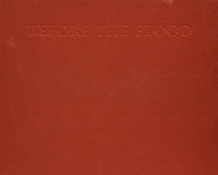 Artwork by Edward Burtynsky, Before the Flood