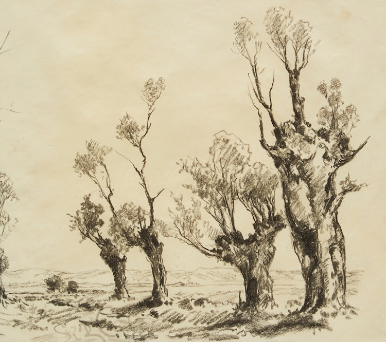 Artwork by Marc-Aurèle de Foy Suzor-Coté,  Landscape with Trees 