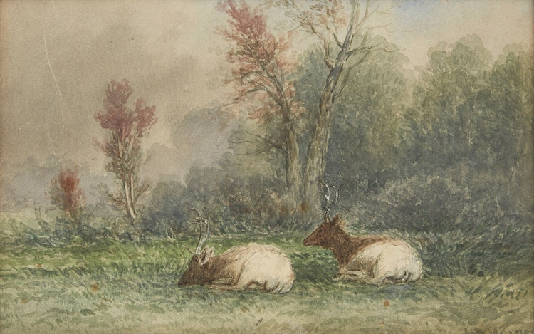 Artwork by Frederick Arthur Verner, Two Wapiti