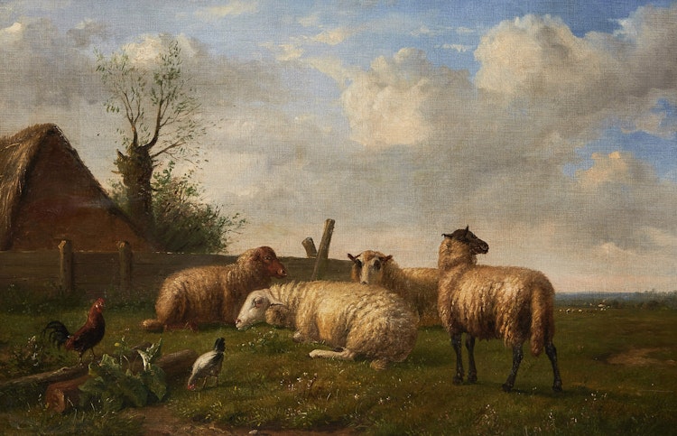 Artwork by  19th Century British School,  Sheep