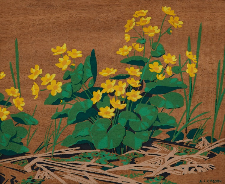 Artwork by Alfred Joseph Casson, Marsh Marigold