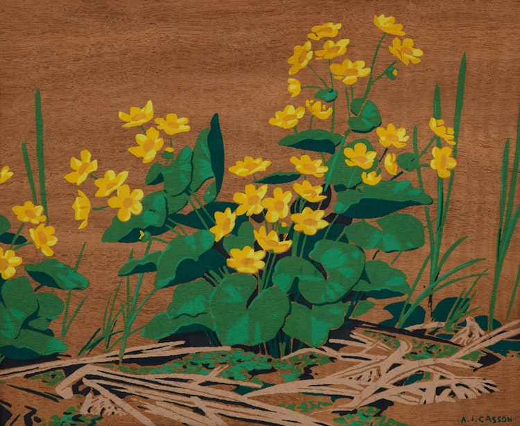 Artwork by Alfred Joseph Casson,  Marsh Marigold