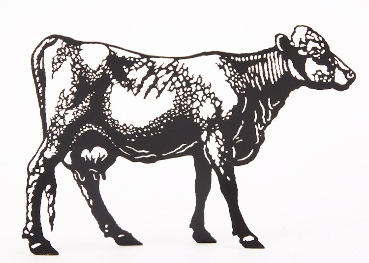 Artwork by Joe Fafard, Cow