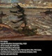 Thumbnail of Artwork by Frederick Horsman Varley, Sun and Wind, Georgian Bay, 1916 or 1920