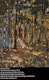 Thumbnail of Artwork by Arthur Lismer, Ragged Lake, Algonquin Park, May 1914