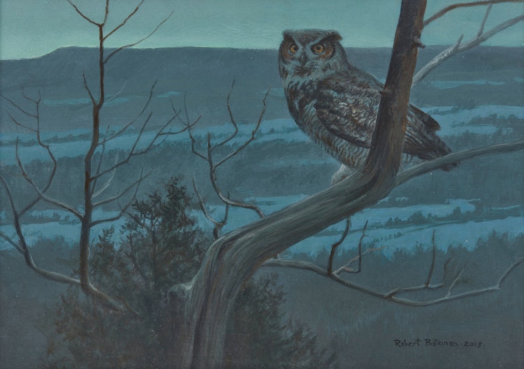 Artwork by Robert Bateman,  Great-Horned Owl from Rattlesnake Point