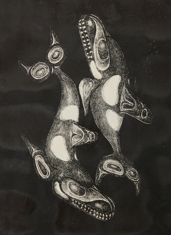 Artwork by Bill Ronald Reid,  Haida Killer Whale 