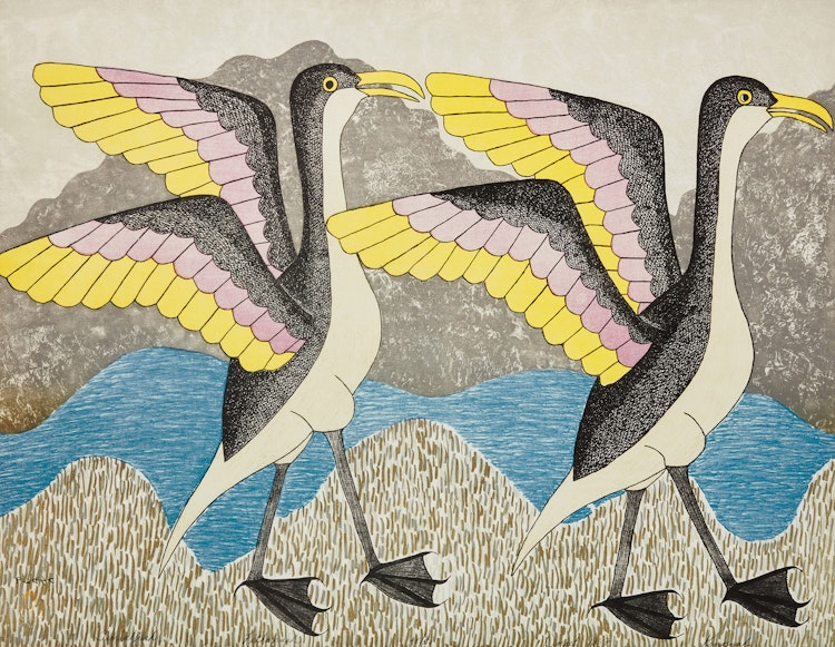 Artwork by Kenojuak Ashevak, Timiatjuak