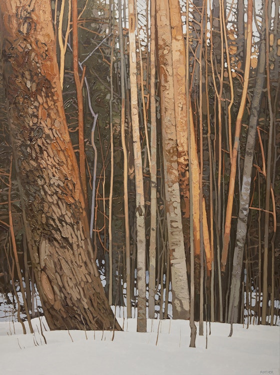 Artwork by Peter Rotter, Forest in Winter