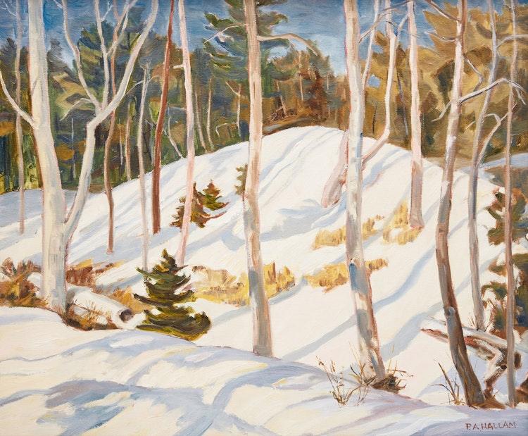 Artwork by Paul A. Hallam,  Snow Shadows